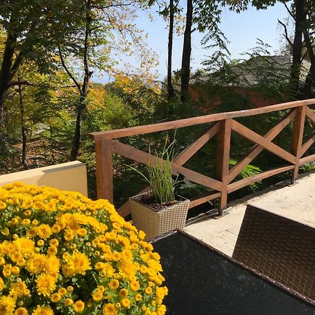 Villa Pelion 7 Lives Tsagkarada Exterior foto