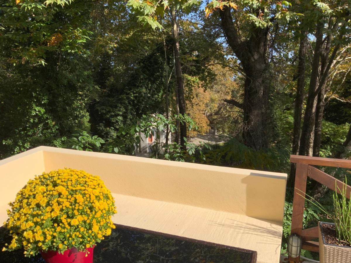 Villa Pelion 7 Lives Tsagkarada Exterior foto